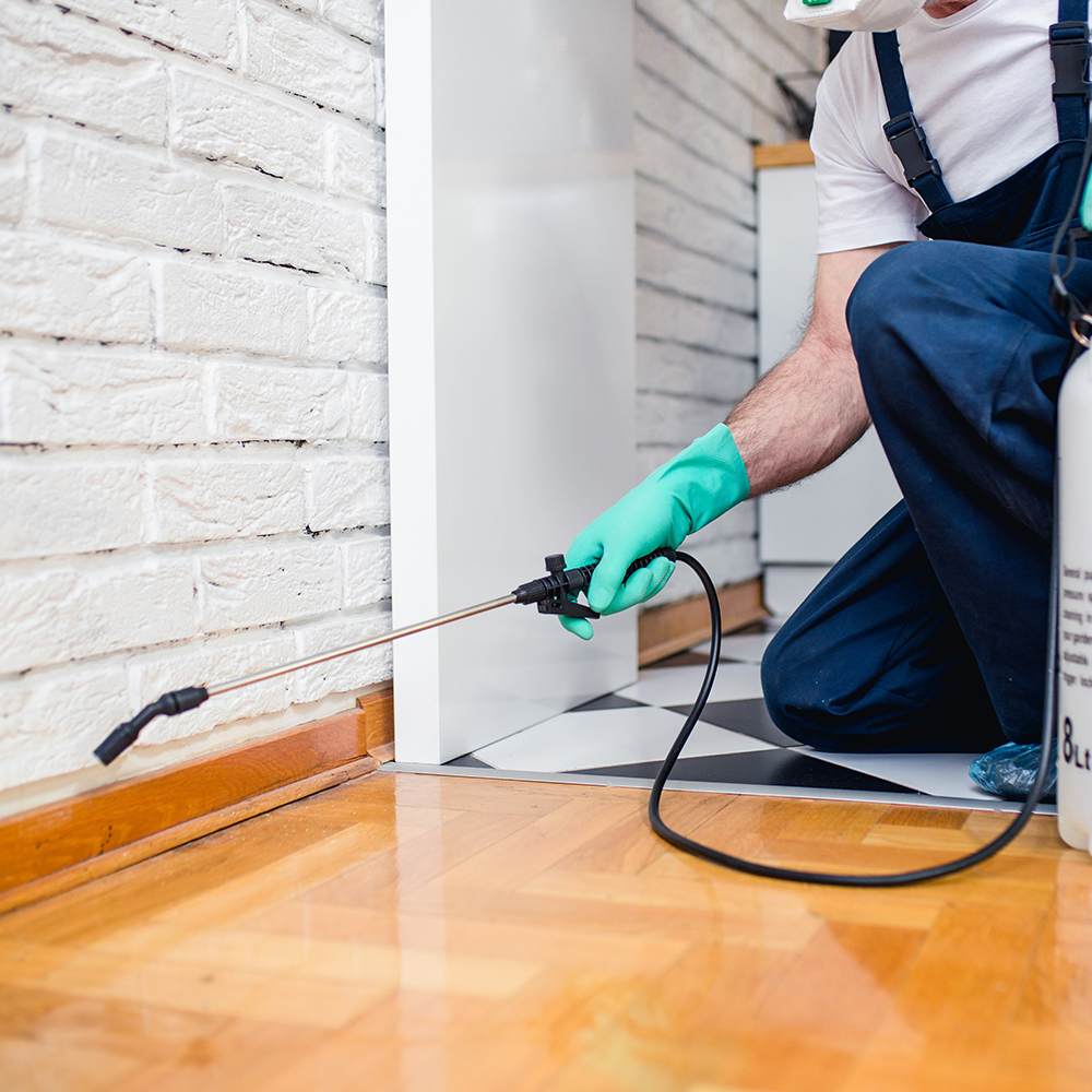How-Much-Should-You-Really-Pay-for-an-Exterminator