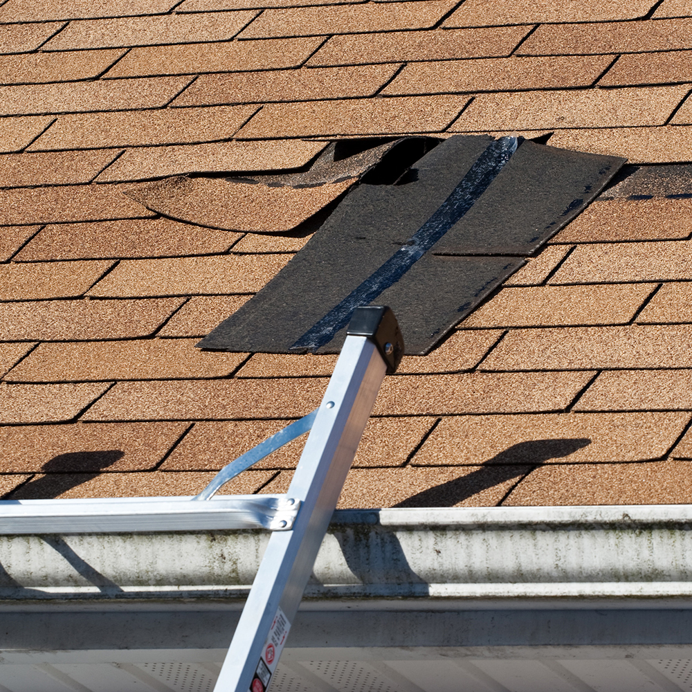 Should You Repair or Replace Your Roof