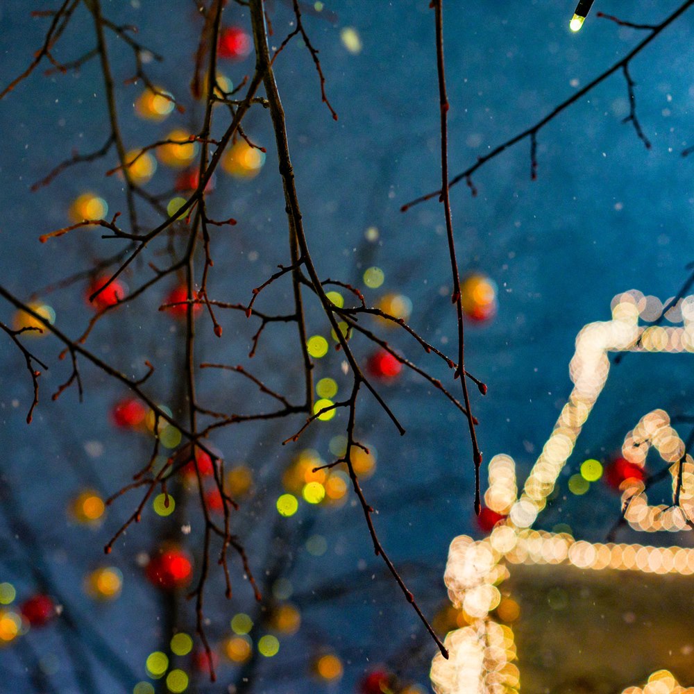abstract-christmas-decorations-and-lights-at-night Abstract christmas decorations and lights at night
