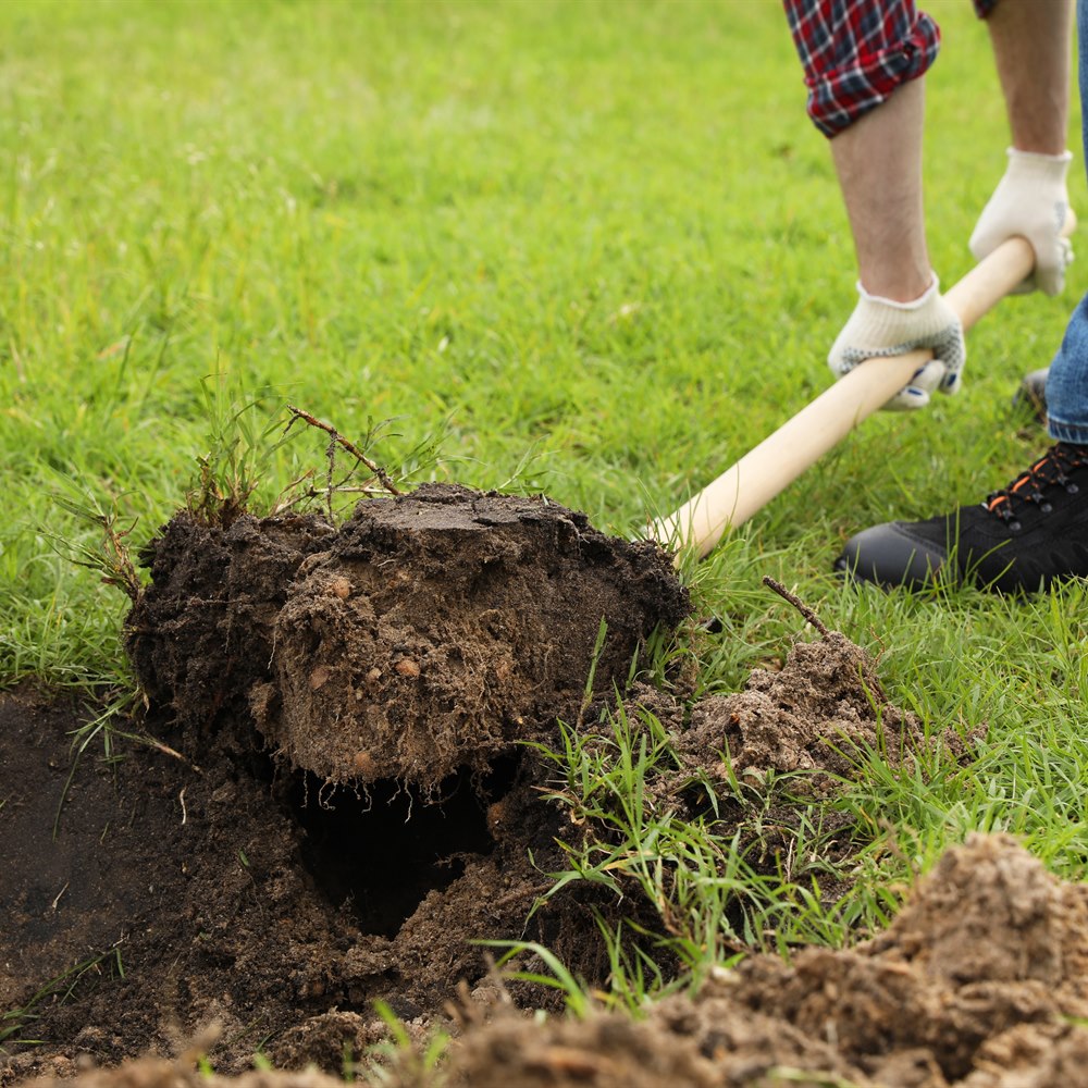 Adult digging in grassy rural field with shoveling