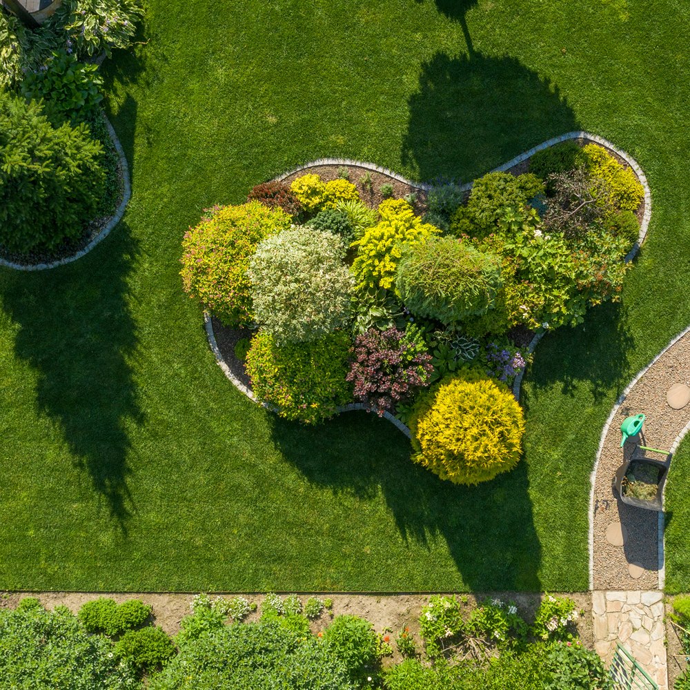Aerial view of peaceful green garden and path