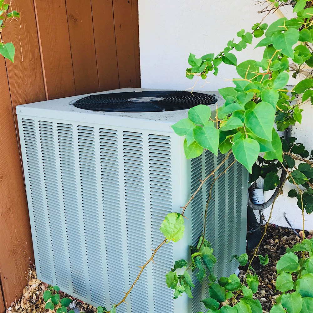 Air conditioner surrounded by greenery near wood