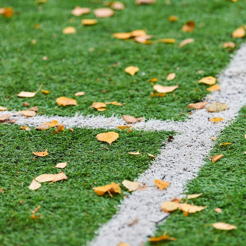 Autumn leaves on a green sports field