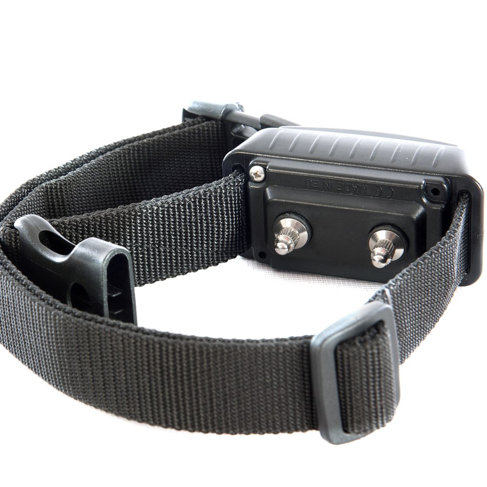 Black electronic pet training collar