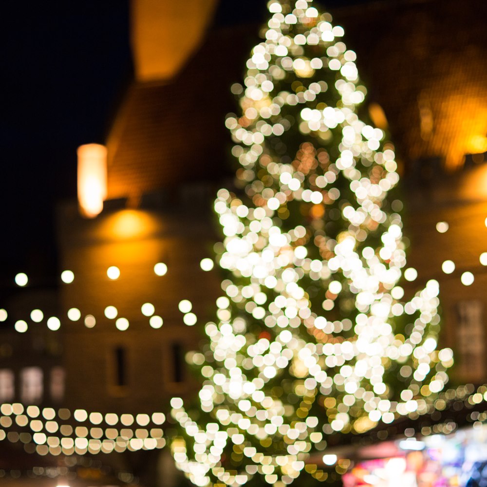 Blurry christmas tree and lights at nighttime