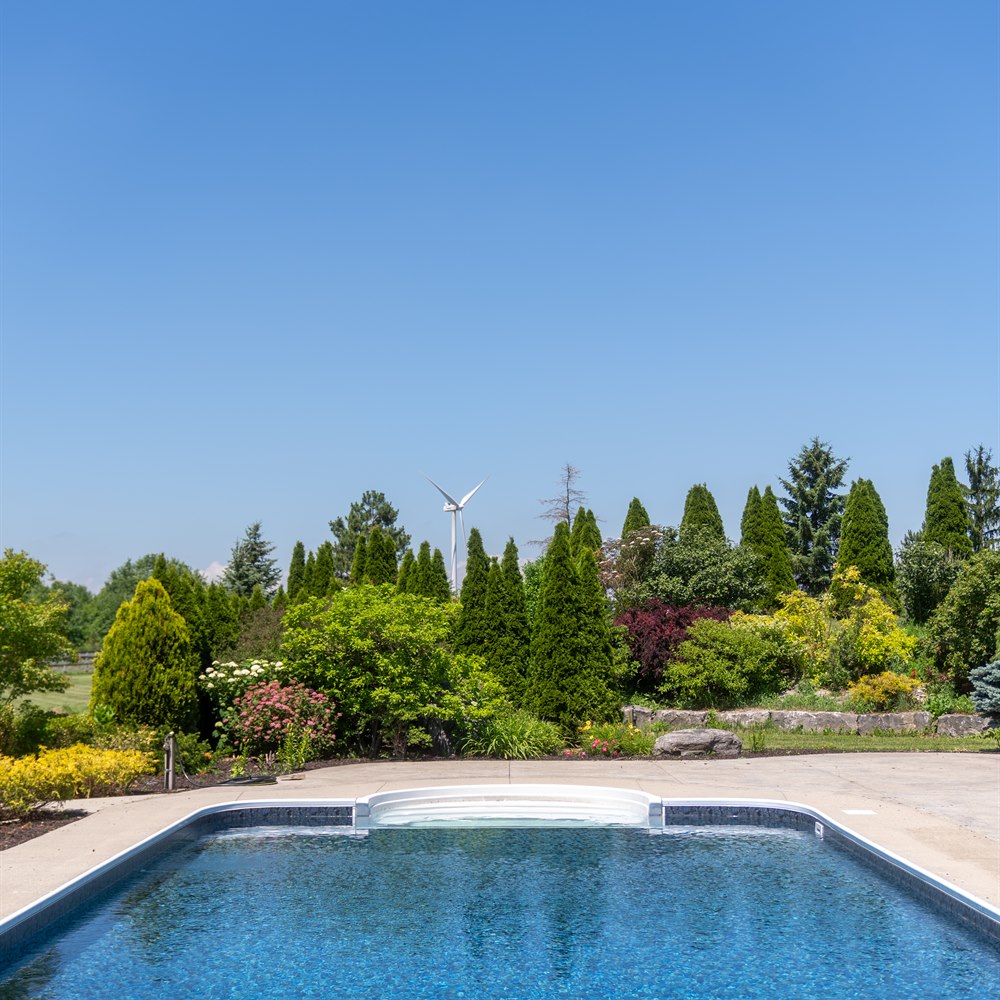 Clear blue swimming pool surrounded by lush green
