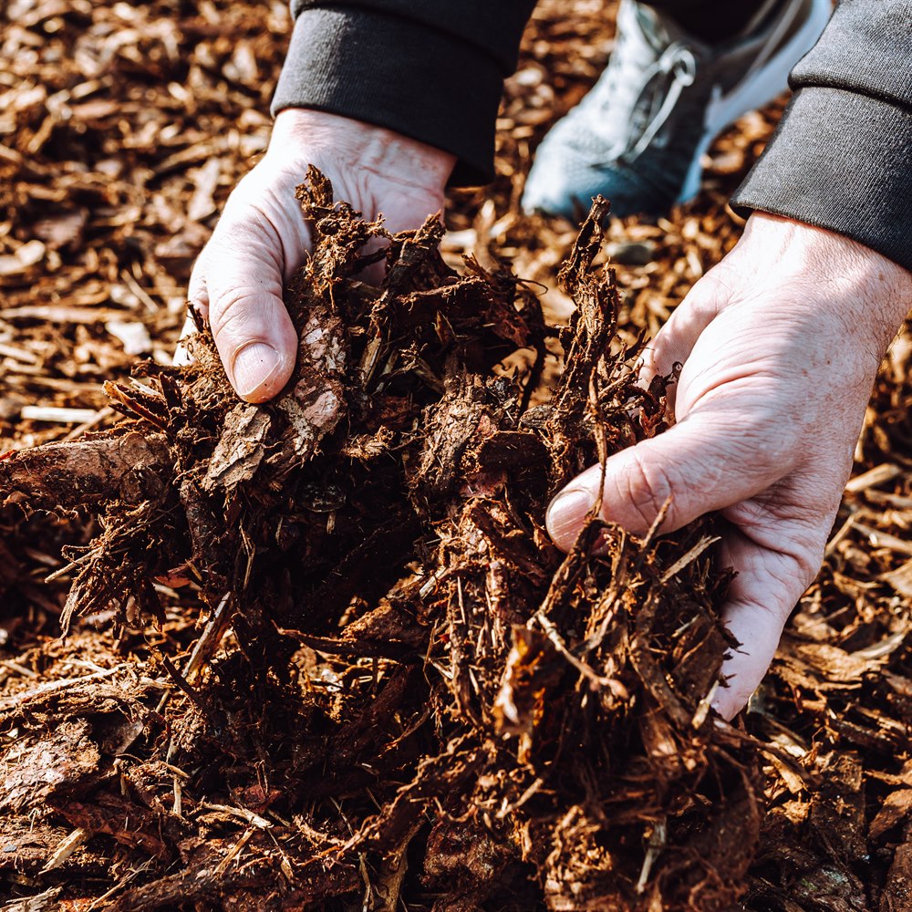Close up of hands holding brown mulch