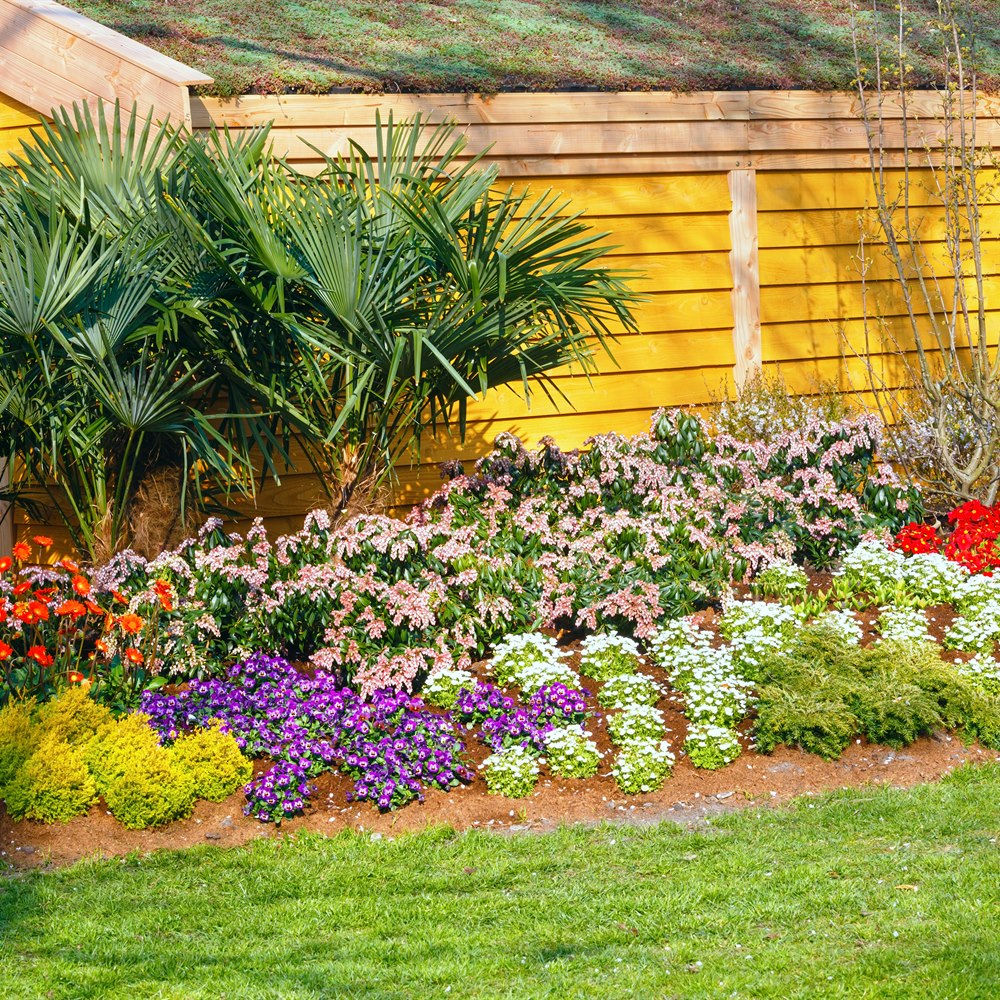 colorful-flower-bed-in-a-garden-landscape Colorful flower bed in a garden landscape
