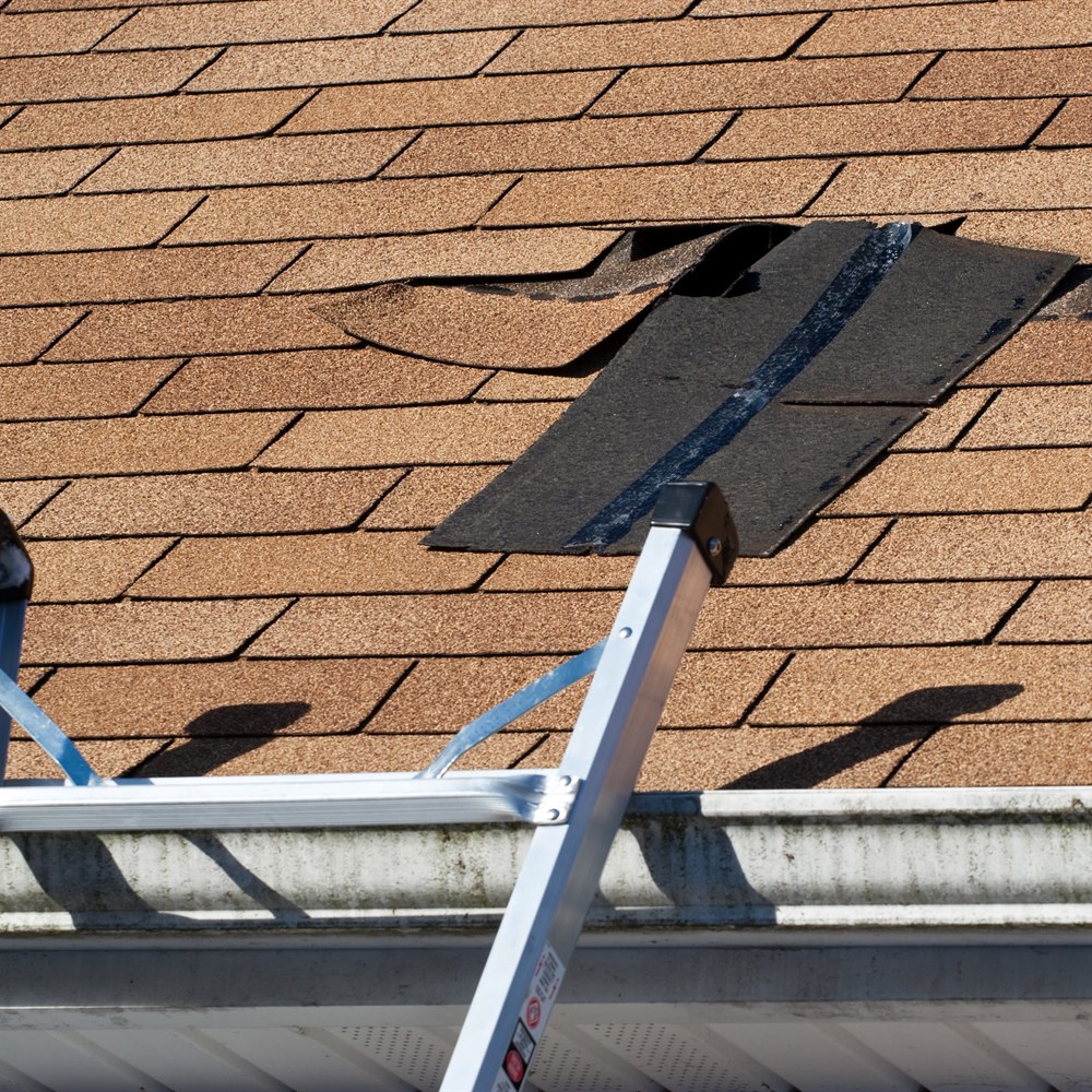 Damaged roof shingles with ladder