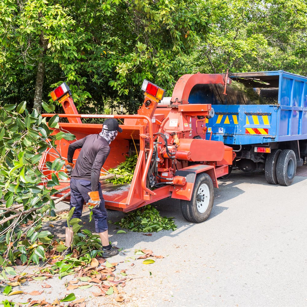 Feeding branches into a wood chipper