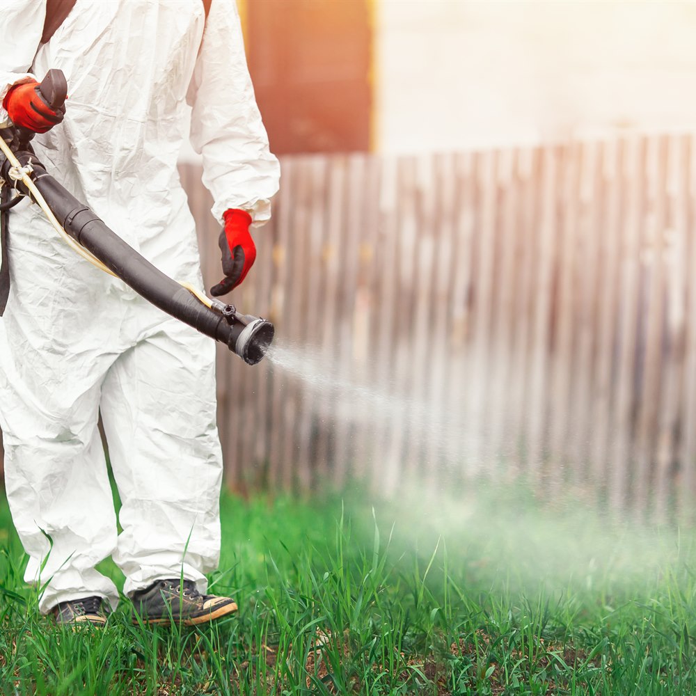 Fogging a yard for mosquitoes
