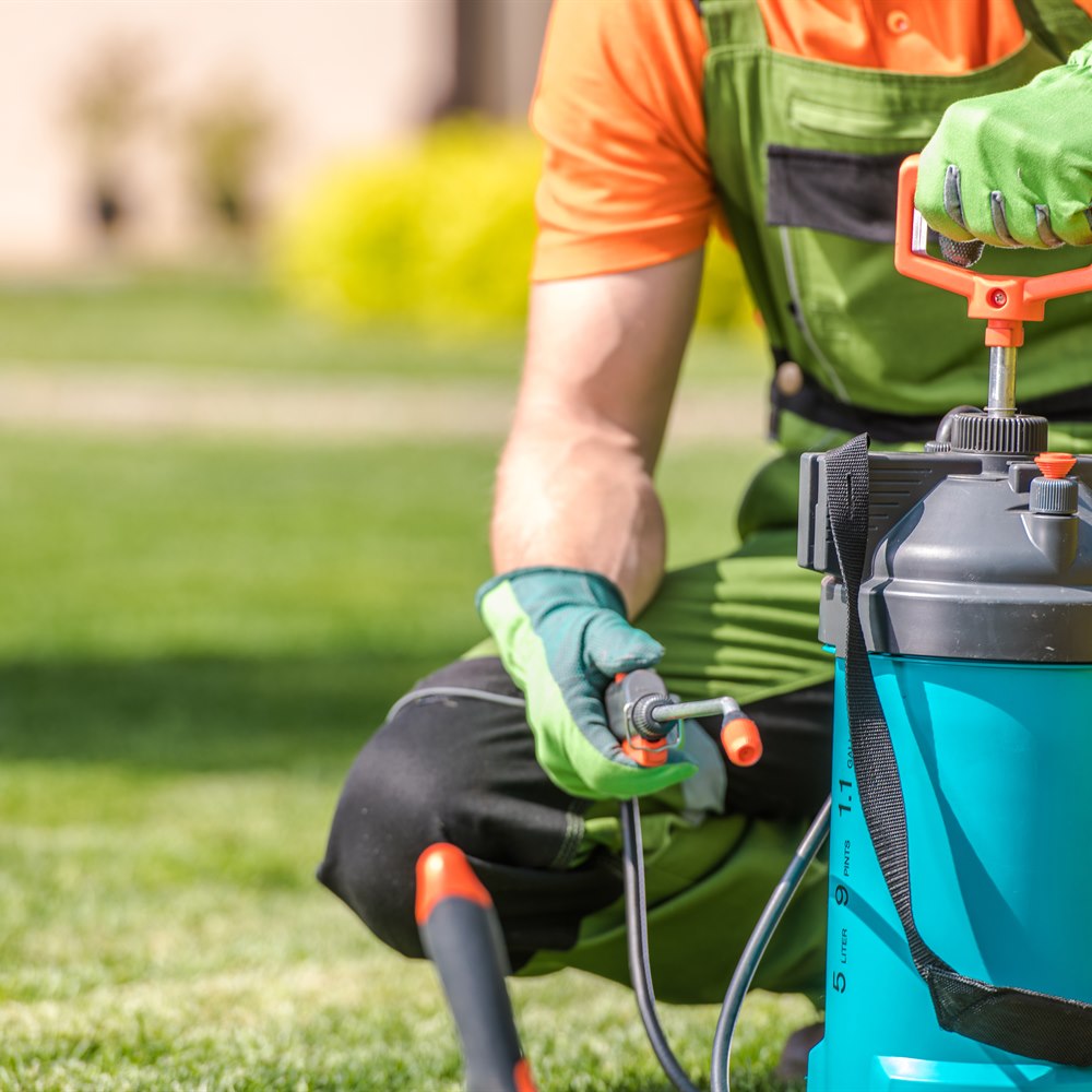 Gardener using sprayer on lawn in green overalls