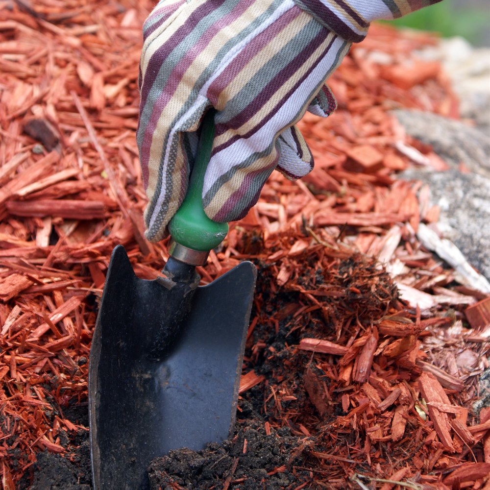 gardening-tool-breaks-ground-in-red-mulch Gardening tool breaks ground in red mulch
