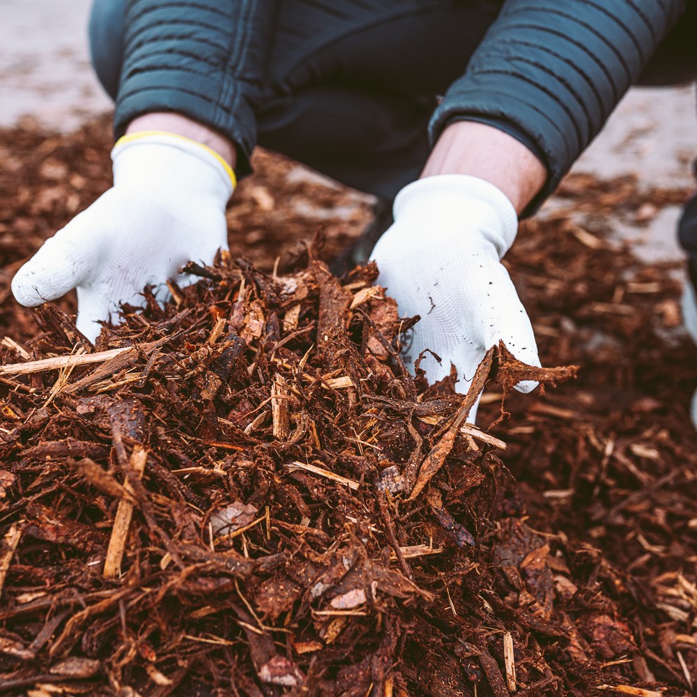 Gloved gardener with mulch and bark