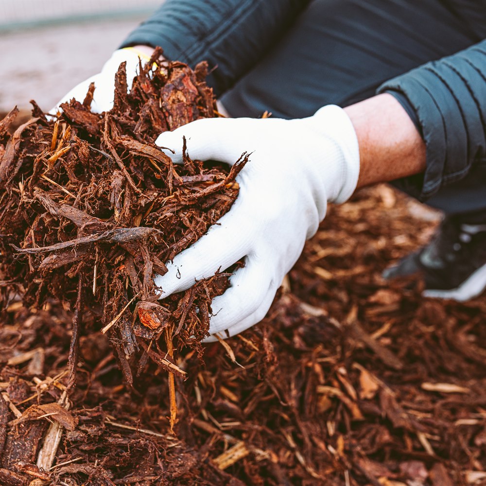 Gloved hands holding mulch for gardening and landscape