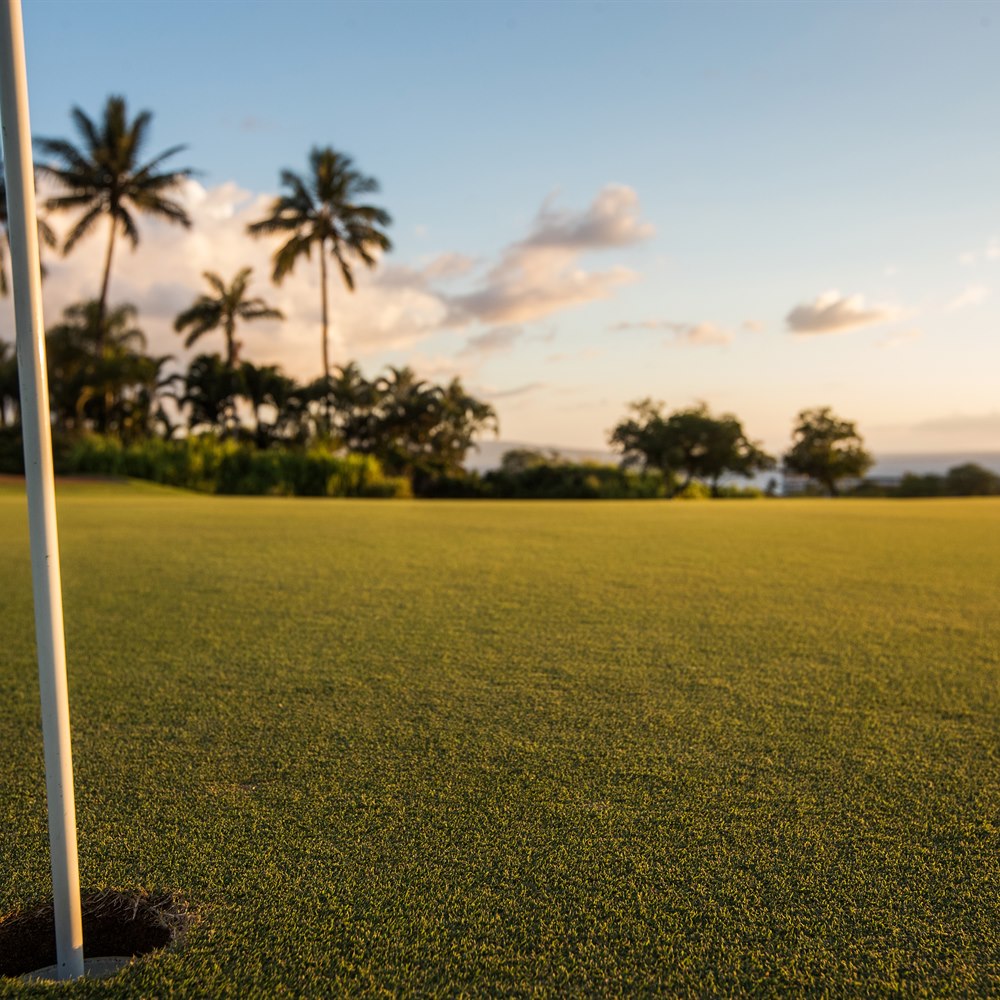 golf-course-green-at-sunset-with-palm-trees Golf course green at sunset with palm trees
