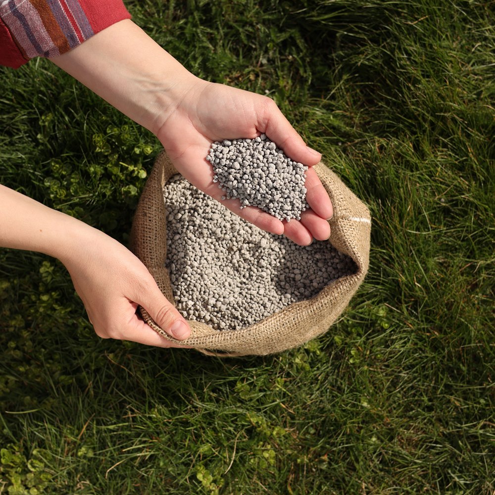 Hands holding fertilizer over grass in green field