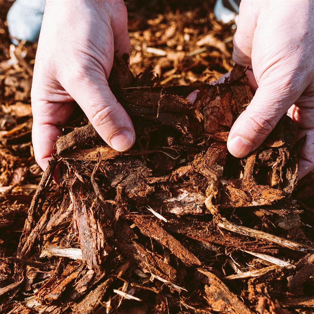 Hands holding wood chips in the sunlight