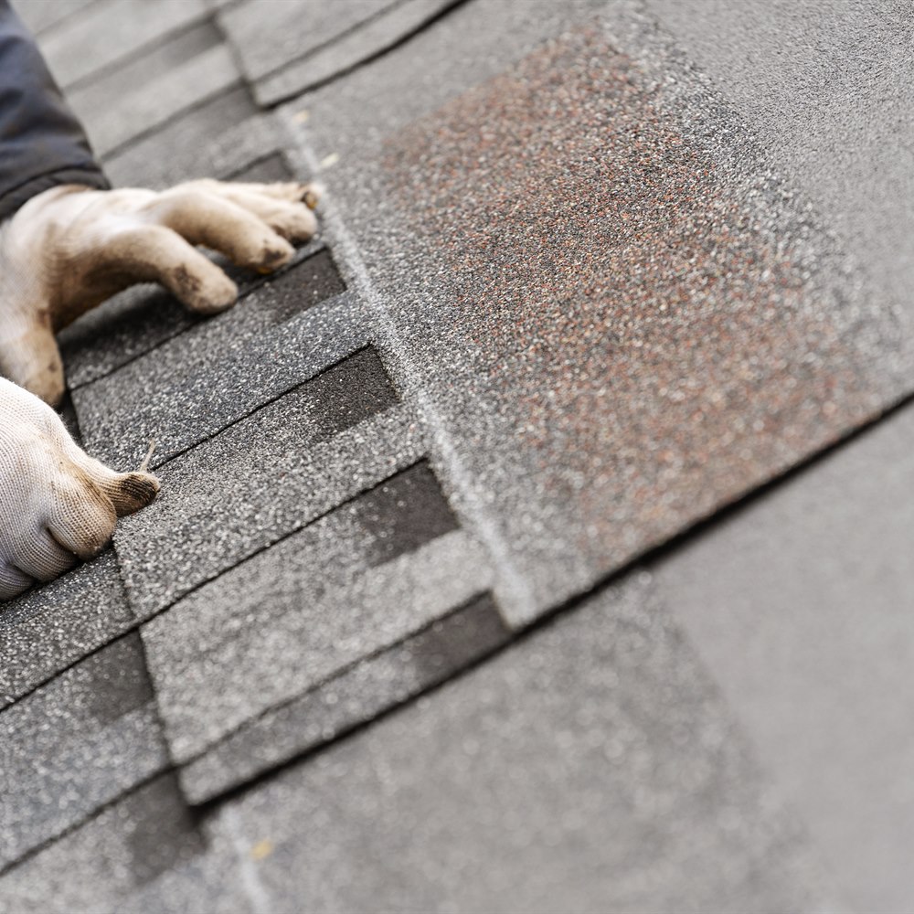 Hands laying asphalt roof shingles