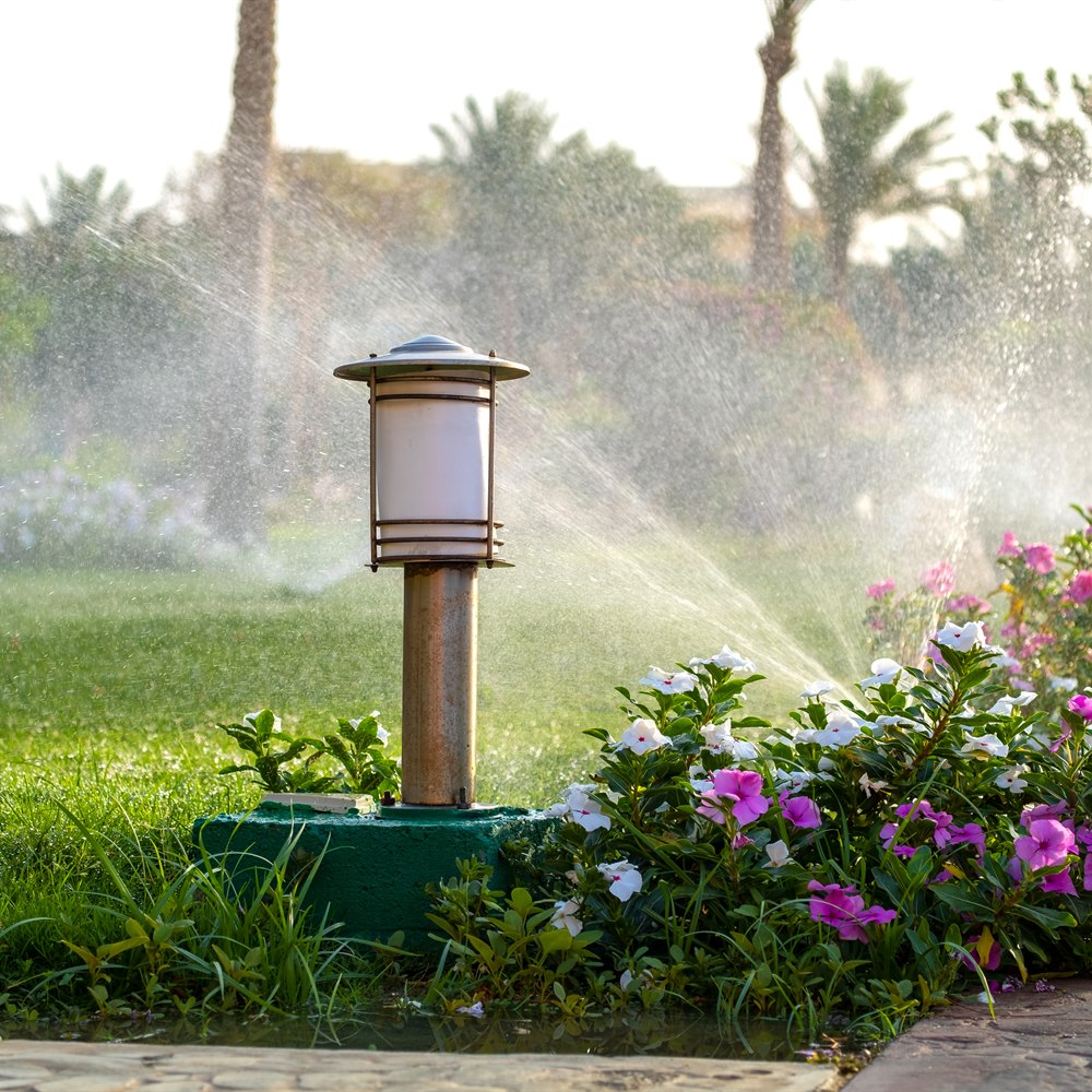irrigation-system-sprinkling-water-on-flowers Irrigation system sprinkling water on flowers