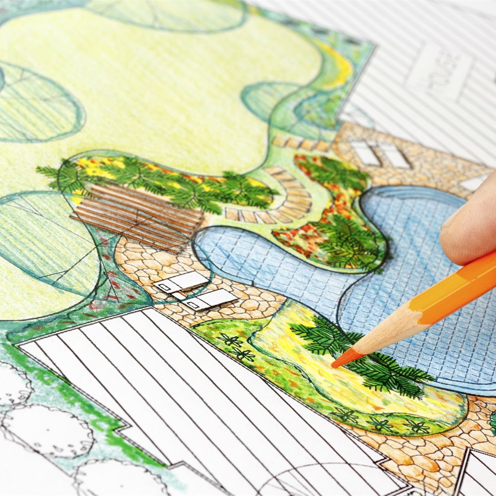 Landscape design plan drawing