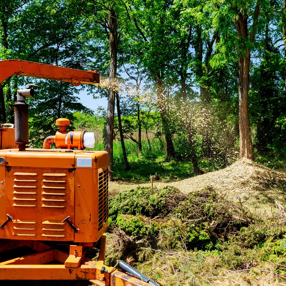 Landscapers using wood chipper in action captures