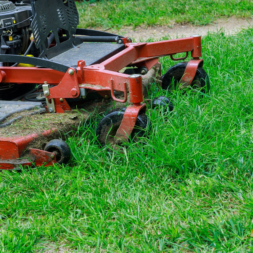 Lawn mower cutting green grass in rural field