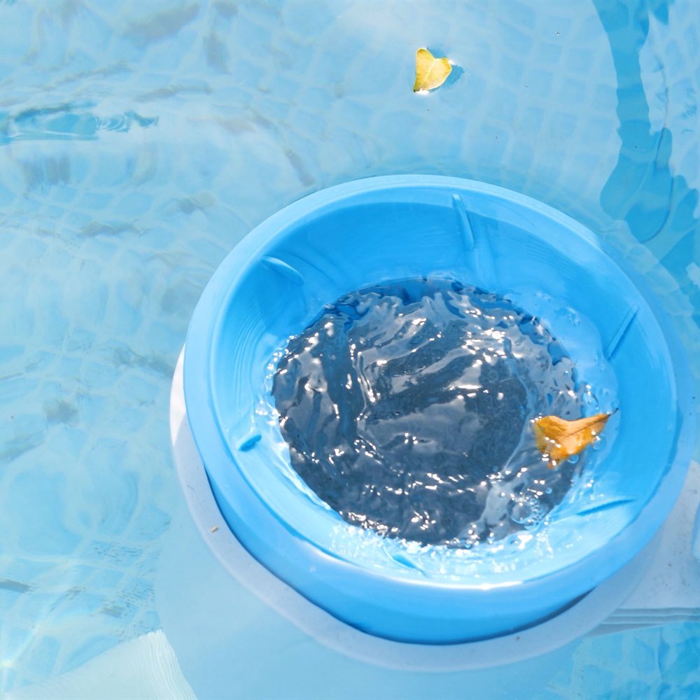Leaf floating near pool cleaning basket in water
