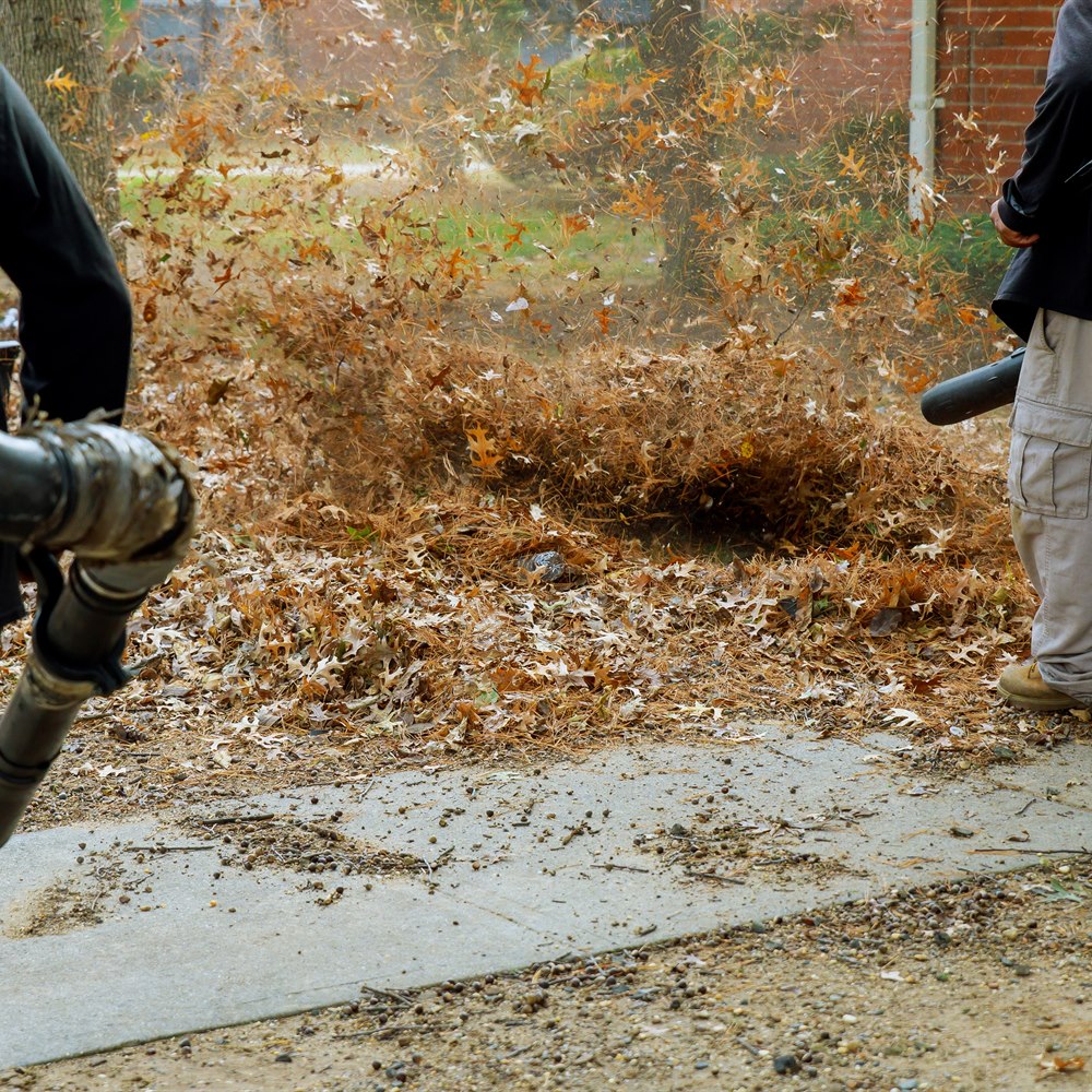 leaf-removal-with-backpack-blowers-during-autumn Leaf removal with backpack blowers during autumn