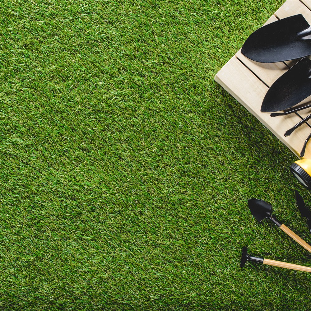Lush green grass with gardening tools