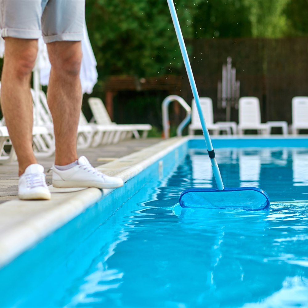 Man cleaning swimming pool with a net