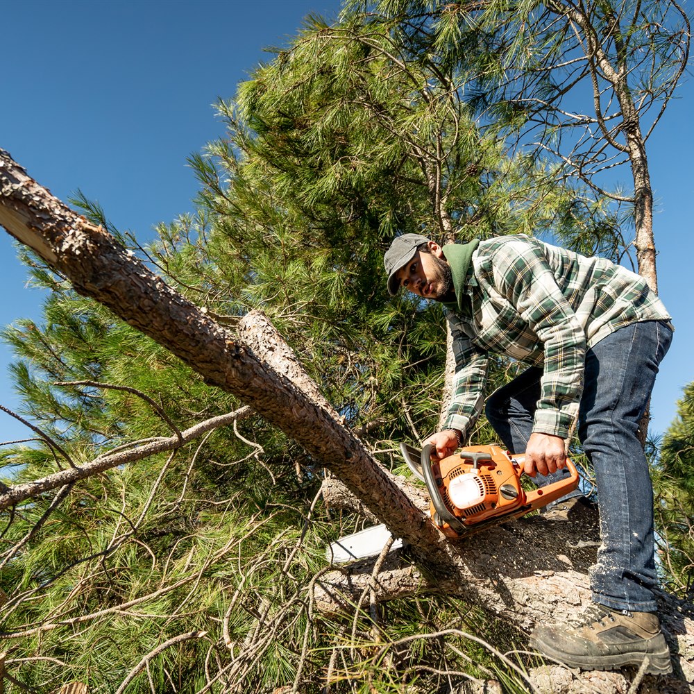 Man cutting fallen tree branch with chainsaw