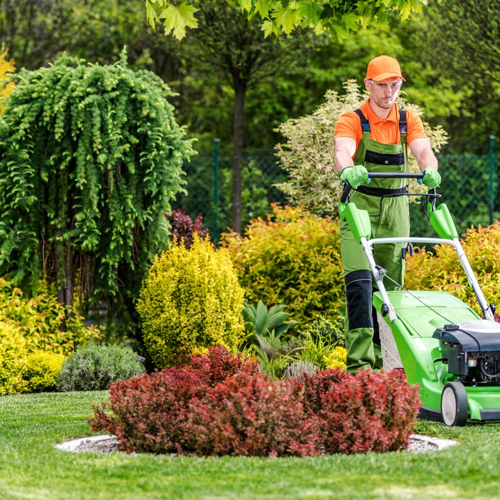 Man mowing lawn on beautiful green summer day