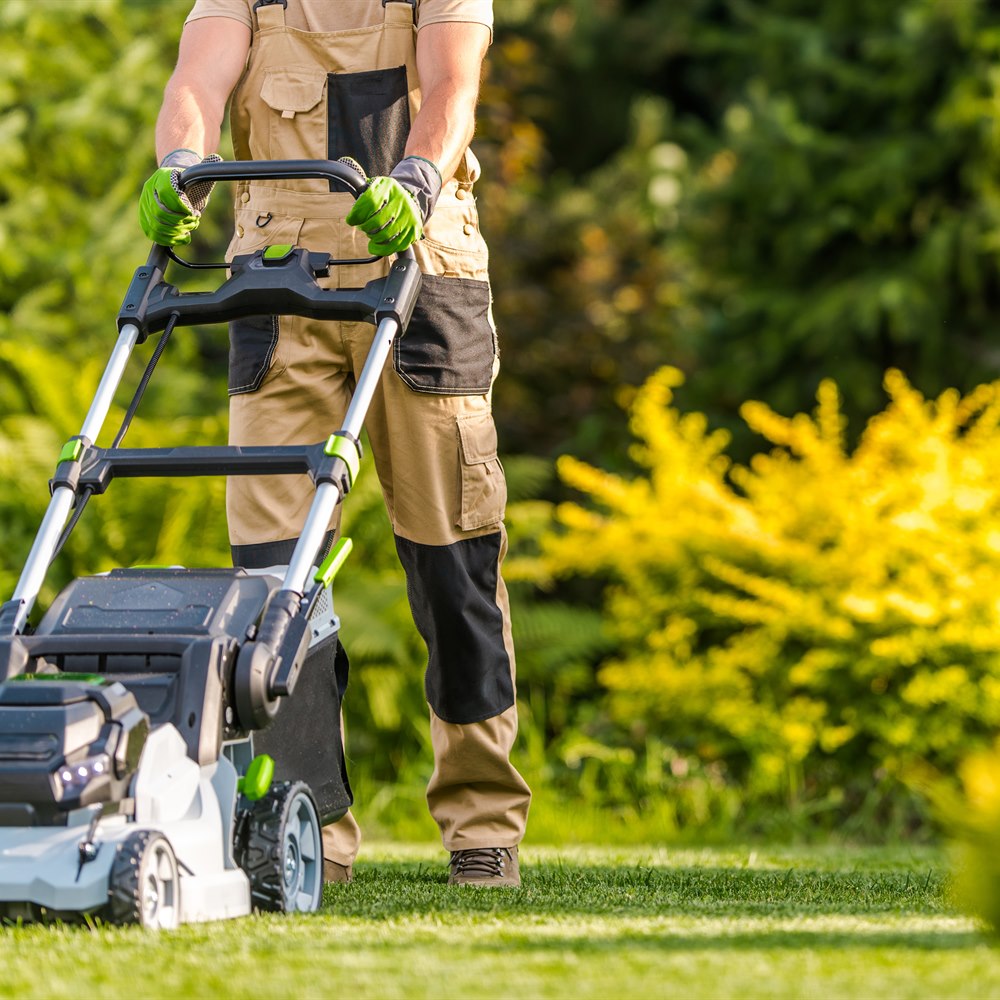 man-mows-lawn-on-sunny-day Man mows lawn on sunny day