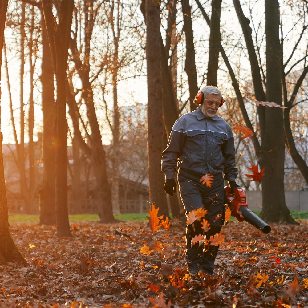 man-using-leaf-blower-in-the-autumn-park Man using leaf blower in the autumn park