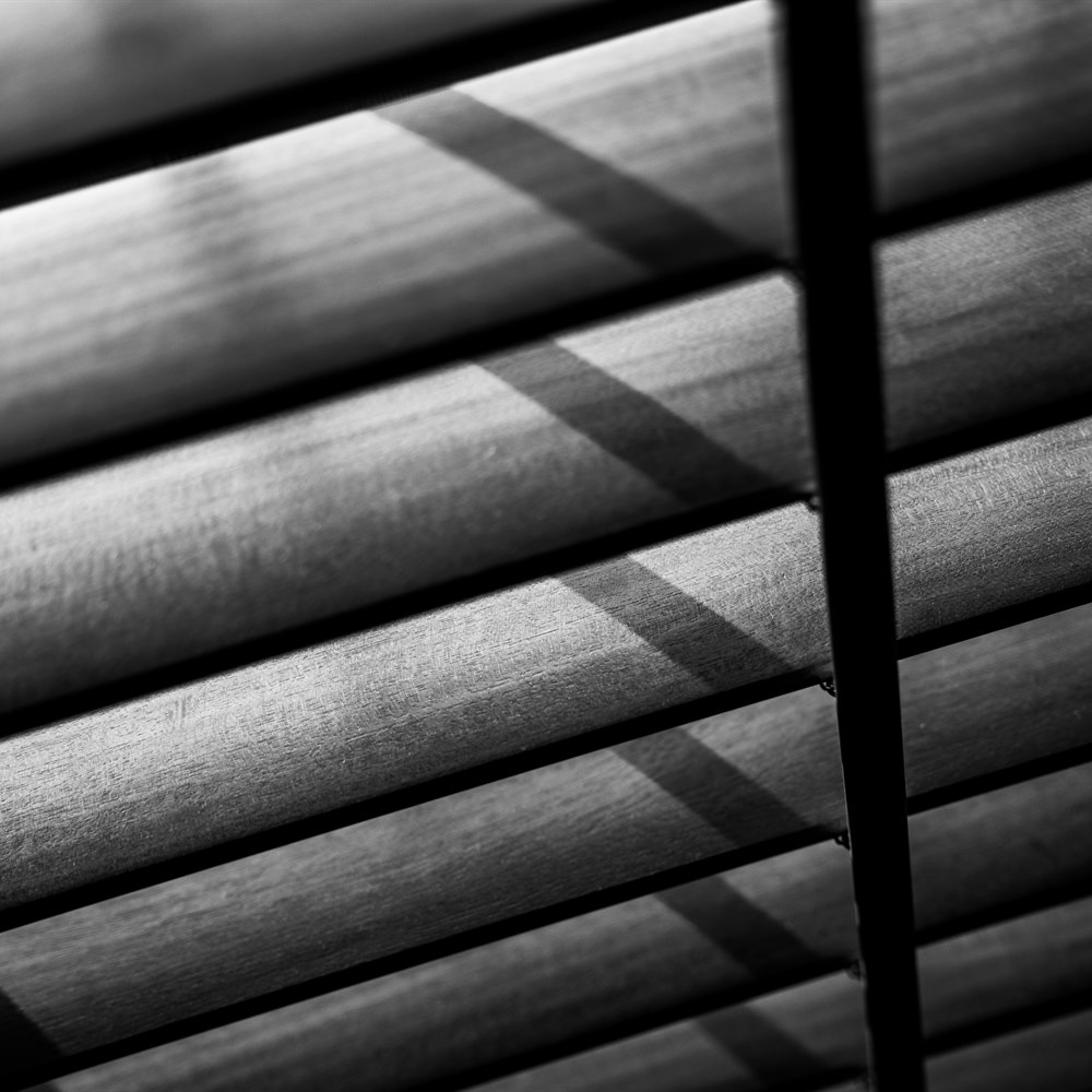 Monochrome wood blinds with light