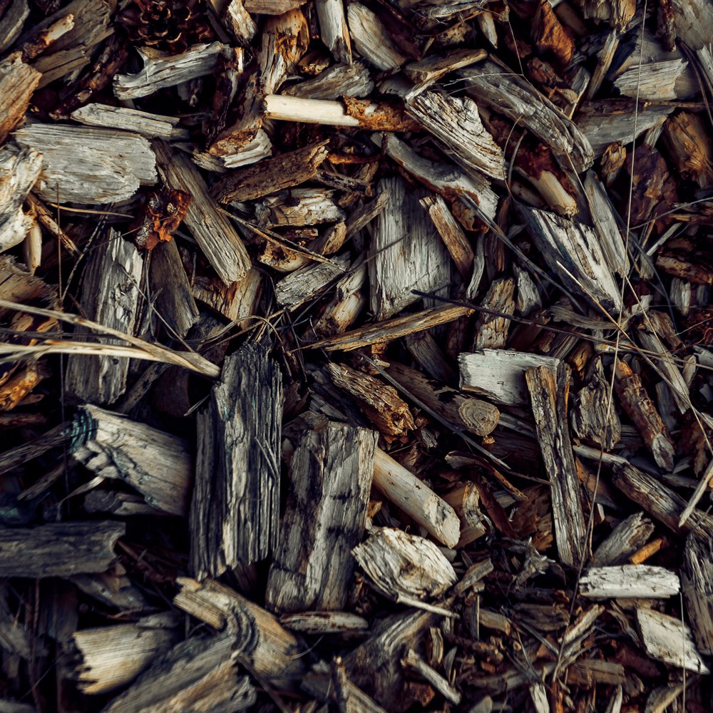 Natural wooden bark texture