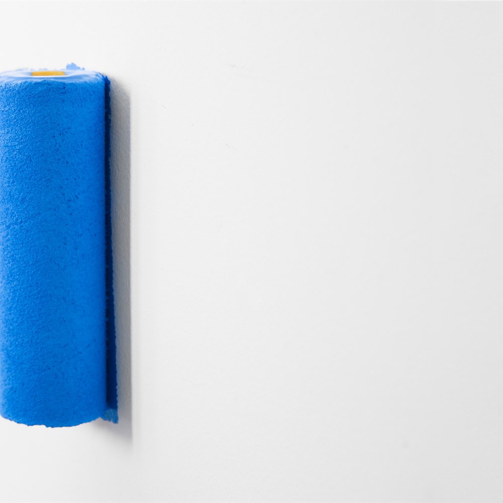 painting-a-wall-with-a-blue-roller Painting a wall with a blue roller