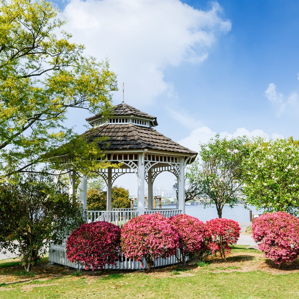 Picturesque gazebo surrounded by blooming flowers