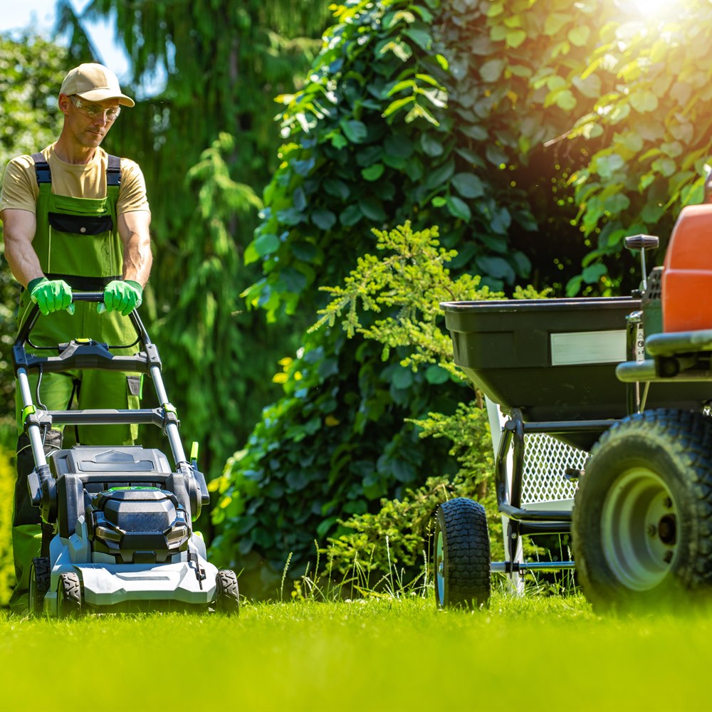 Professional male gardener mowing green lawn