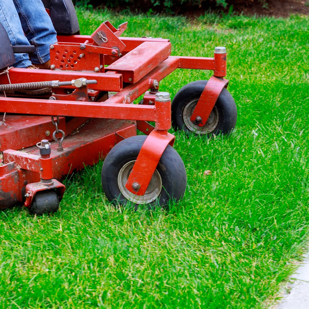 red-mower-cuts-green-grass-on-sunny-day Red mower cuts green grass on sunny day