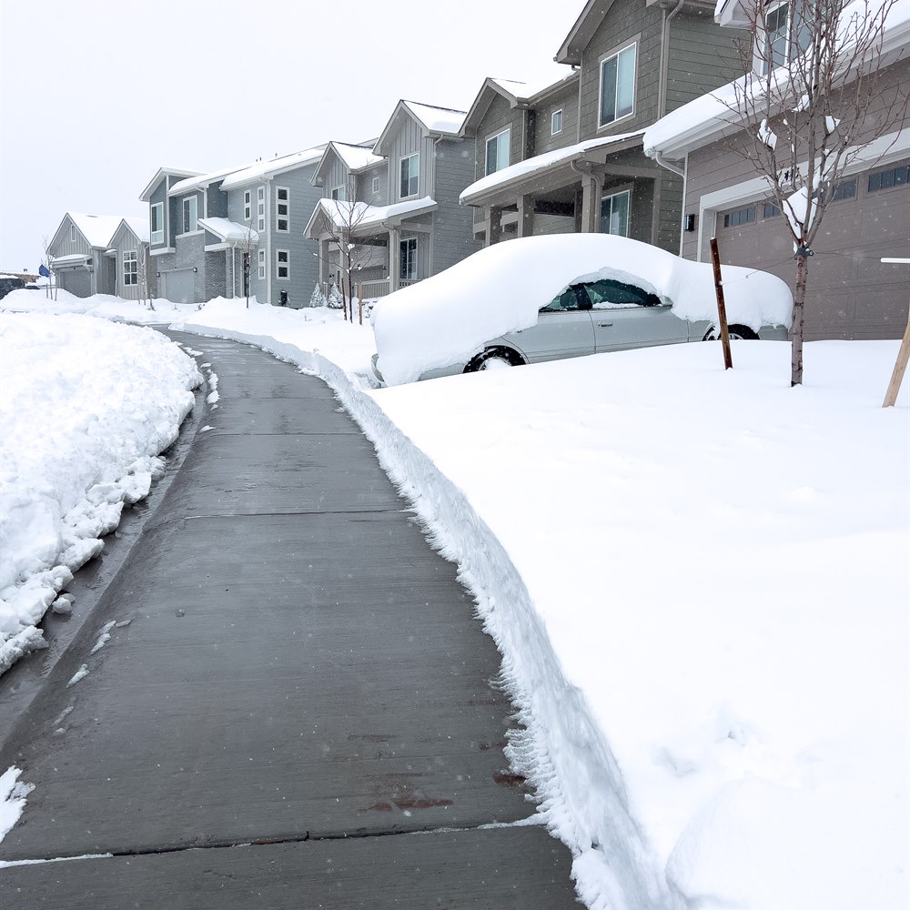 Snow covered cars and houses