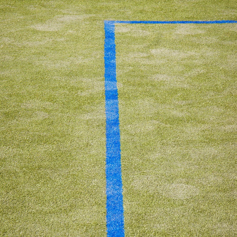 Sports turf field with line markings