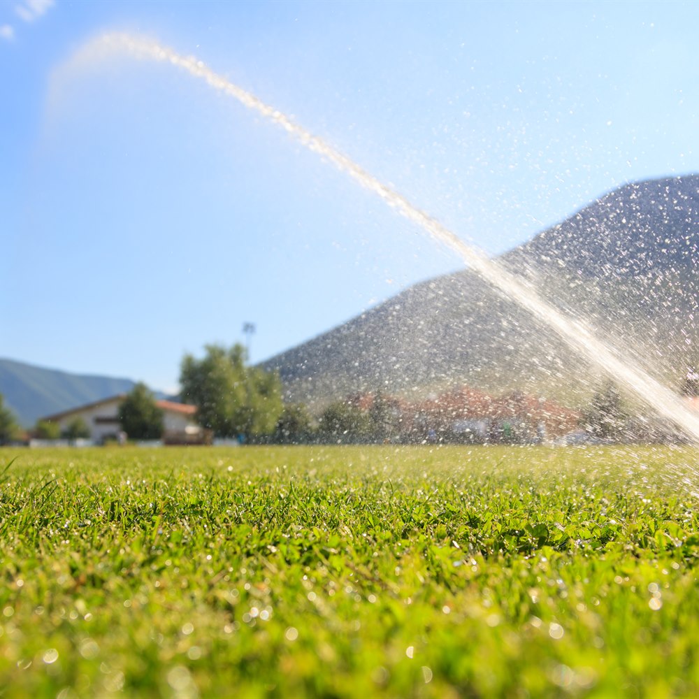 Sprinkler watering green grass field on sunny day