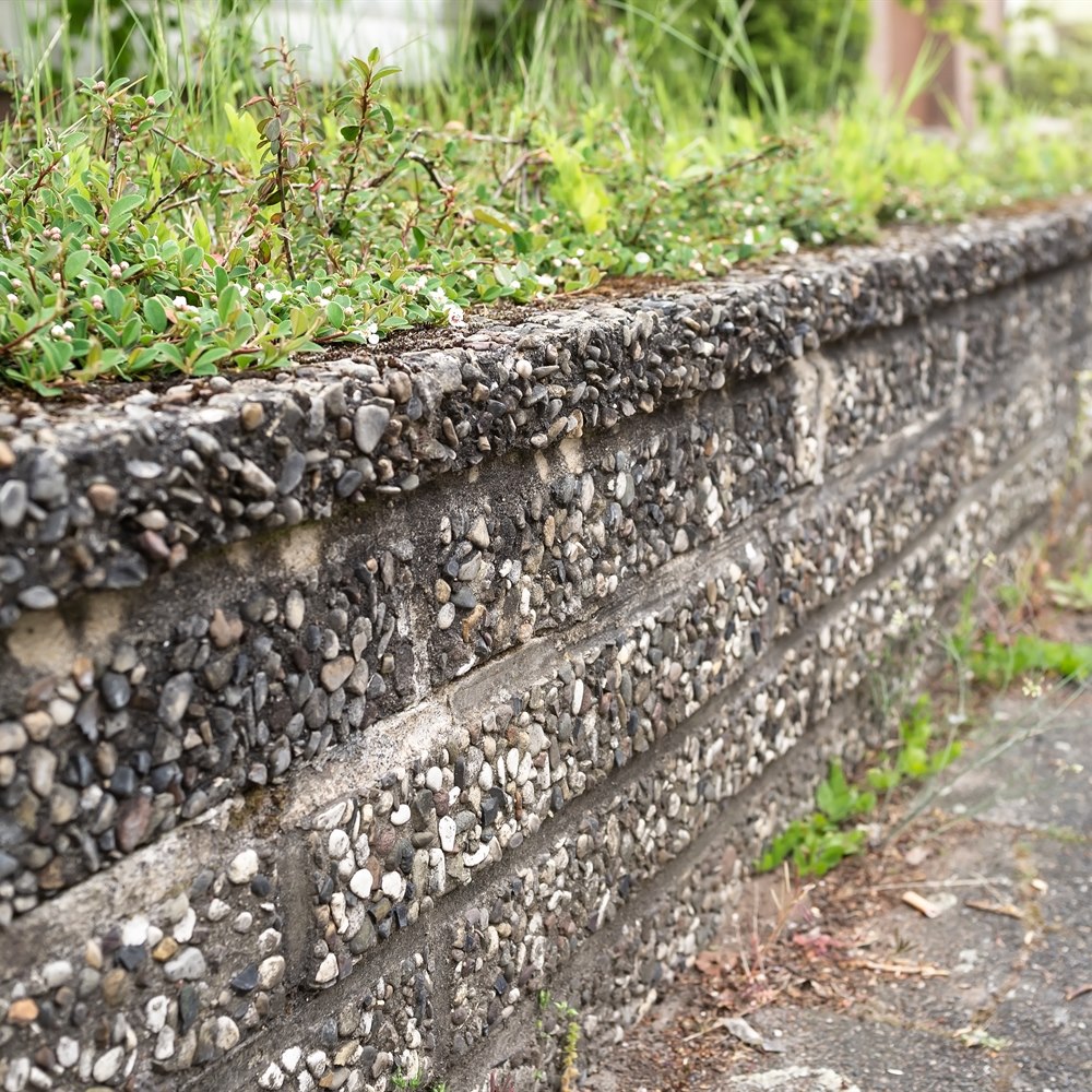 Stone wall with green plants and grass