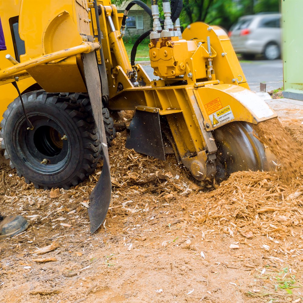 stump-grinder-at-work-in-a-suburban-setting Stump grinder at work in a suburban setting