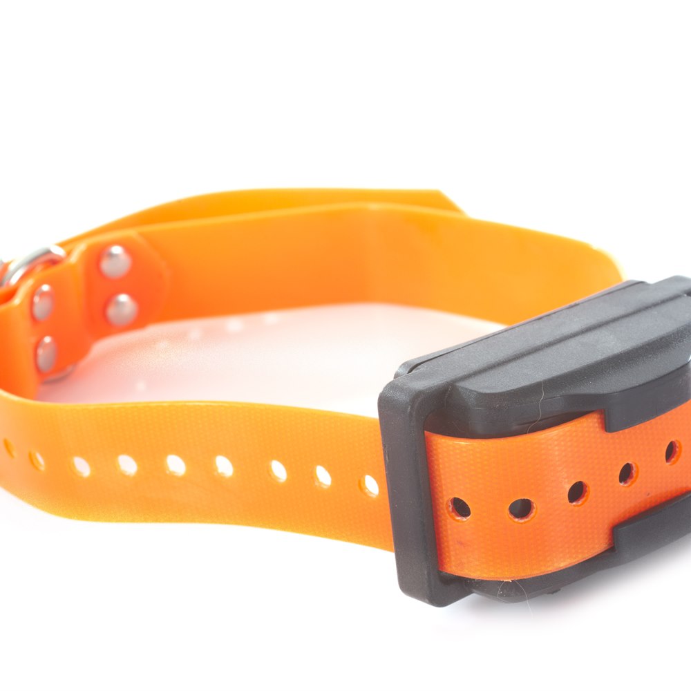 Vibrant orange electronic pet tracking collar isolated