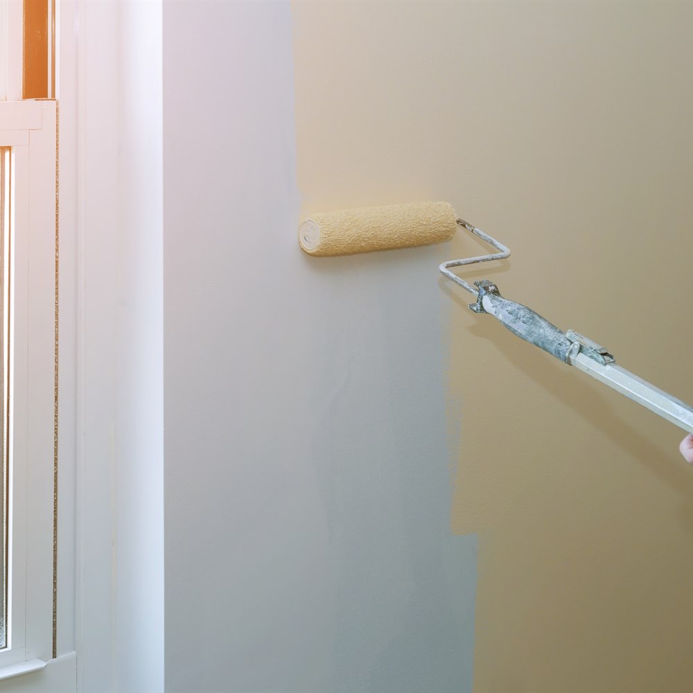 Wall painting project with roller inside home