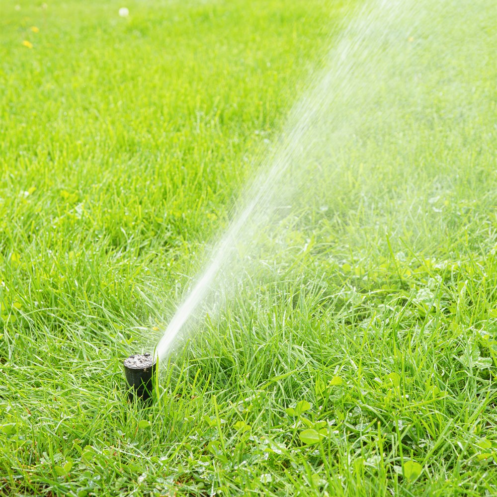 water-sprinkler-on-fresh-green-grass Water sprinkler on fresh green grass