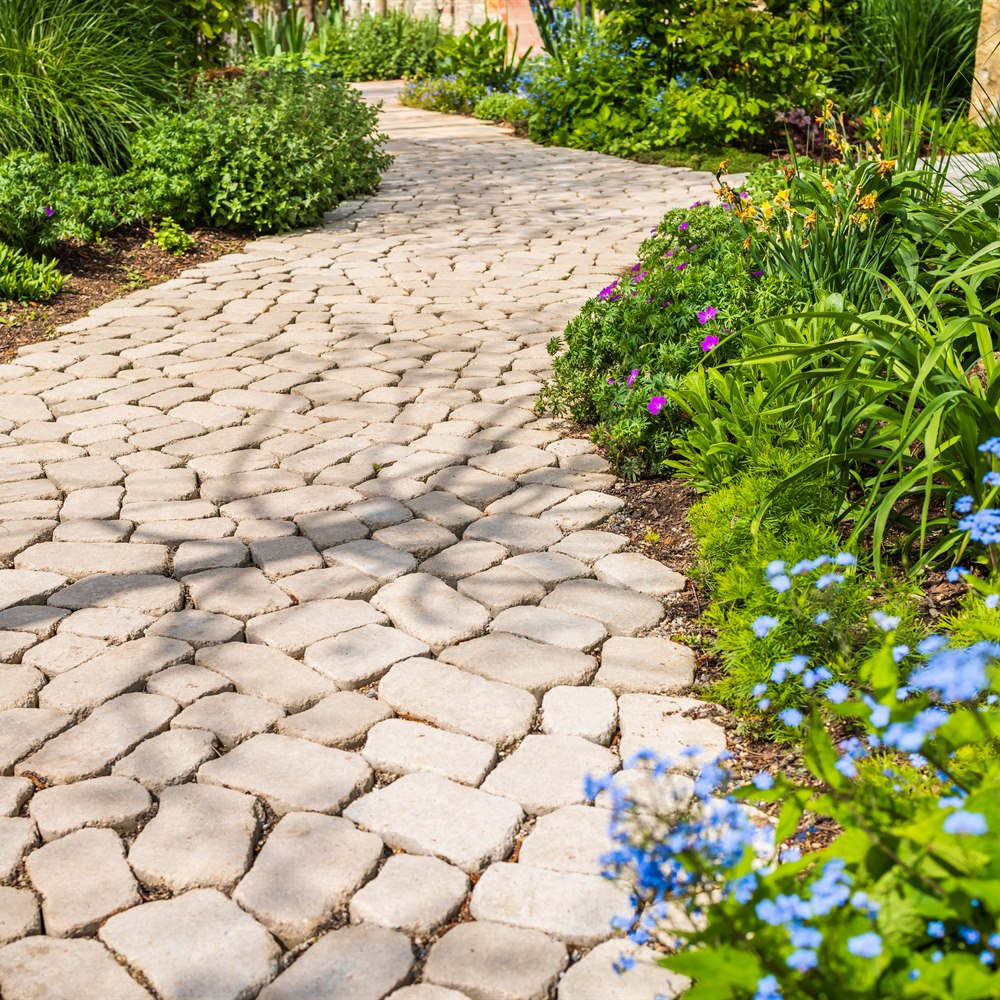 Winding cobblestone path through a lush summer garden